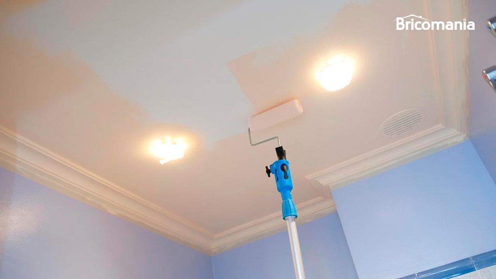 brico 0614 2 pintar techo bano