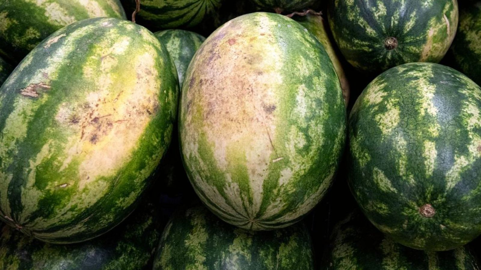 Trucos para elegir una buena sandía