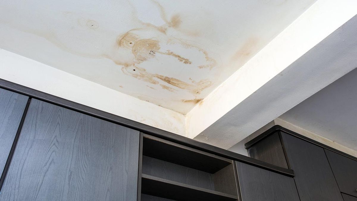 Que es una humedad por filtracion 2