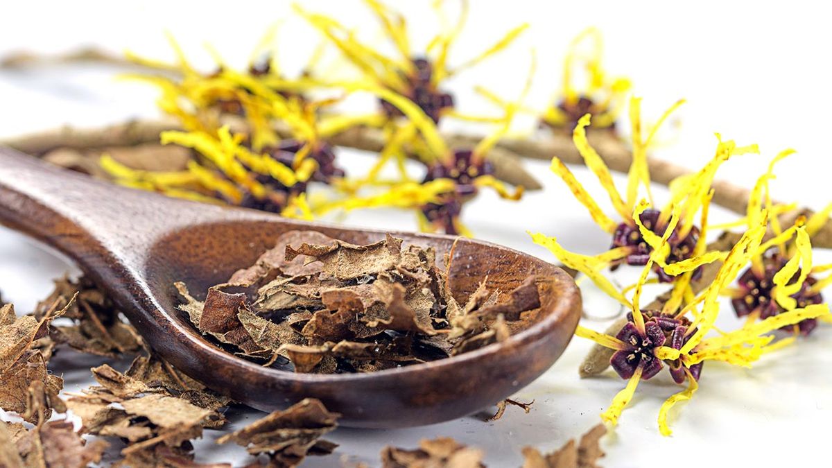 hamamelis un buen aliado para el cuidado de tu piel tratamiento