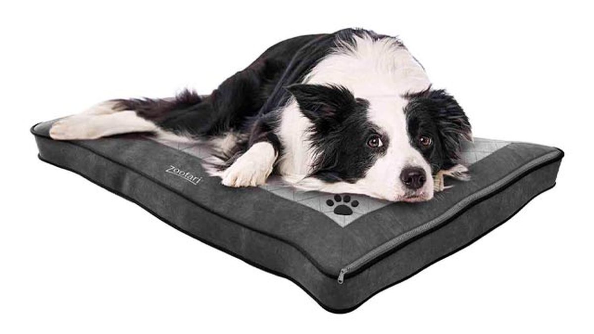 cama perros medianos lidl