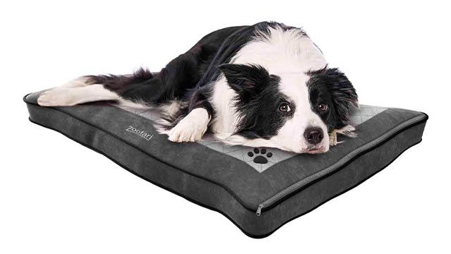 cama perros medianos lidl