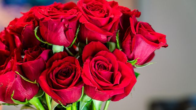 ramo de rosas para dia de la madre