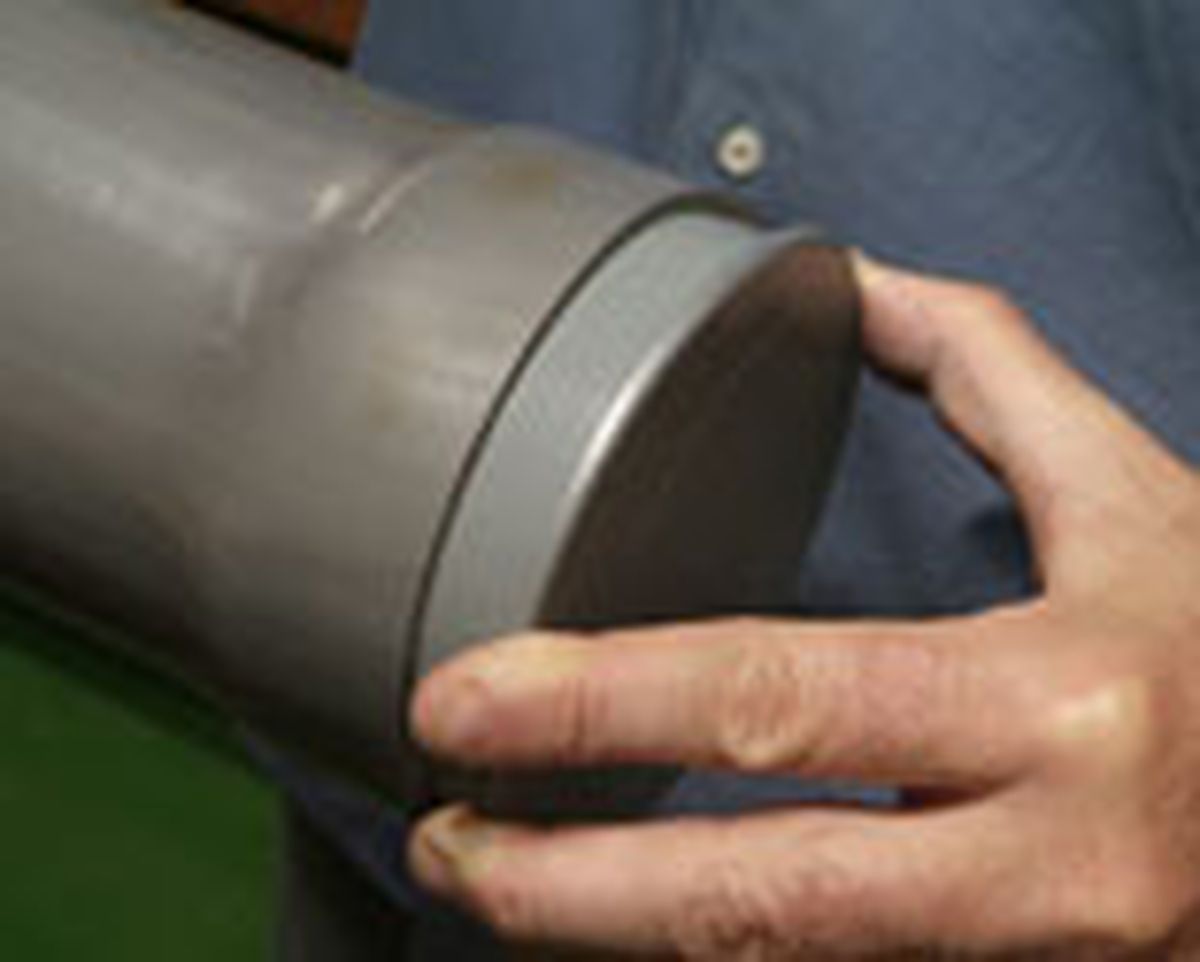 436(85) Abeto paraguas paso7