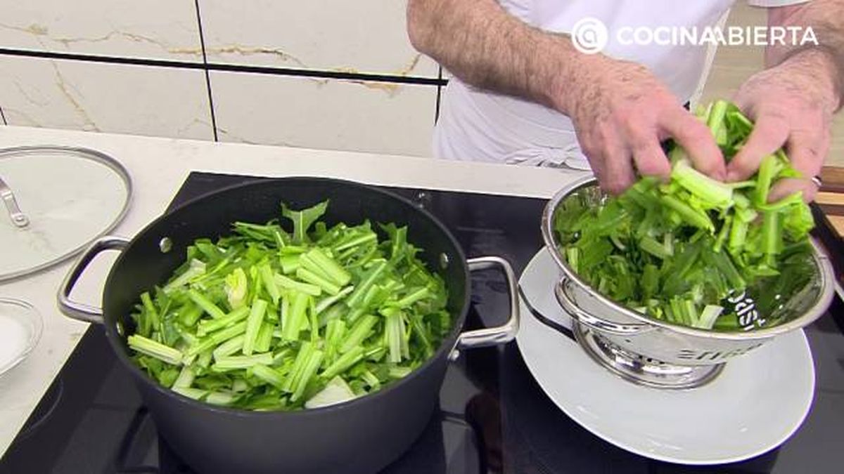 karl7095 achicoria refrito p2