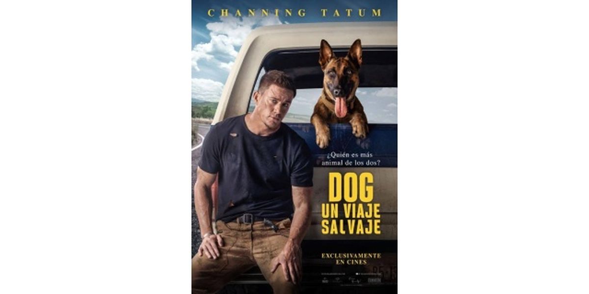 peliculas de perros un viaje salvaje