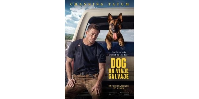 peliculas de perros un viaje salvaje