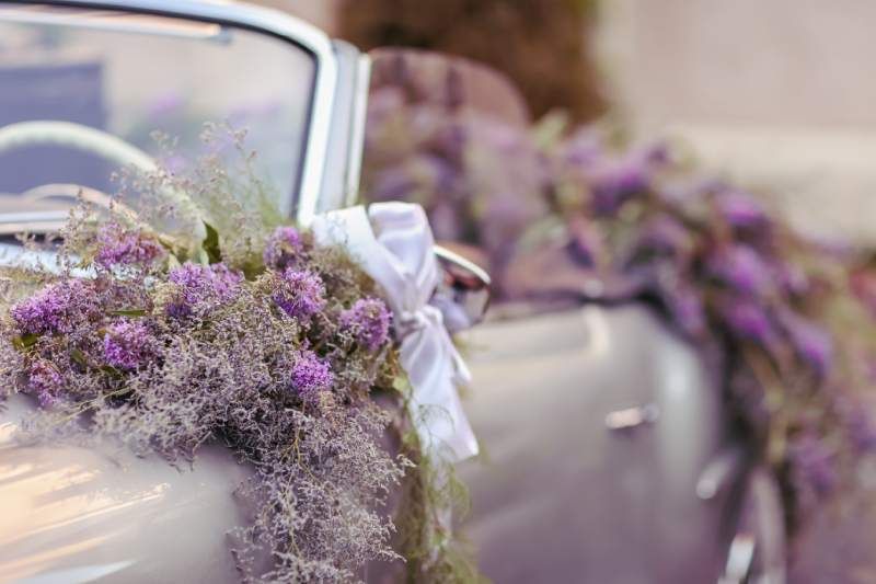 Las flores de lavanda representan la pureza y la serenidad