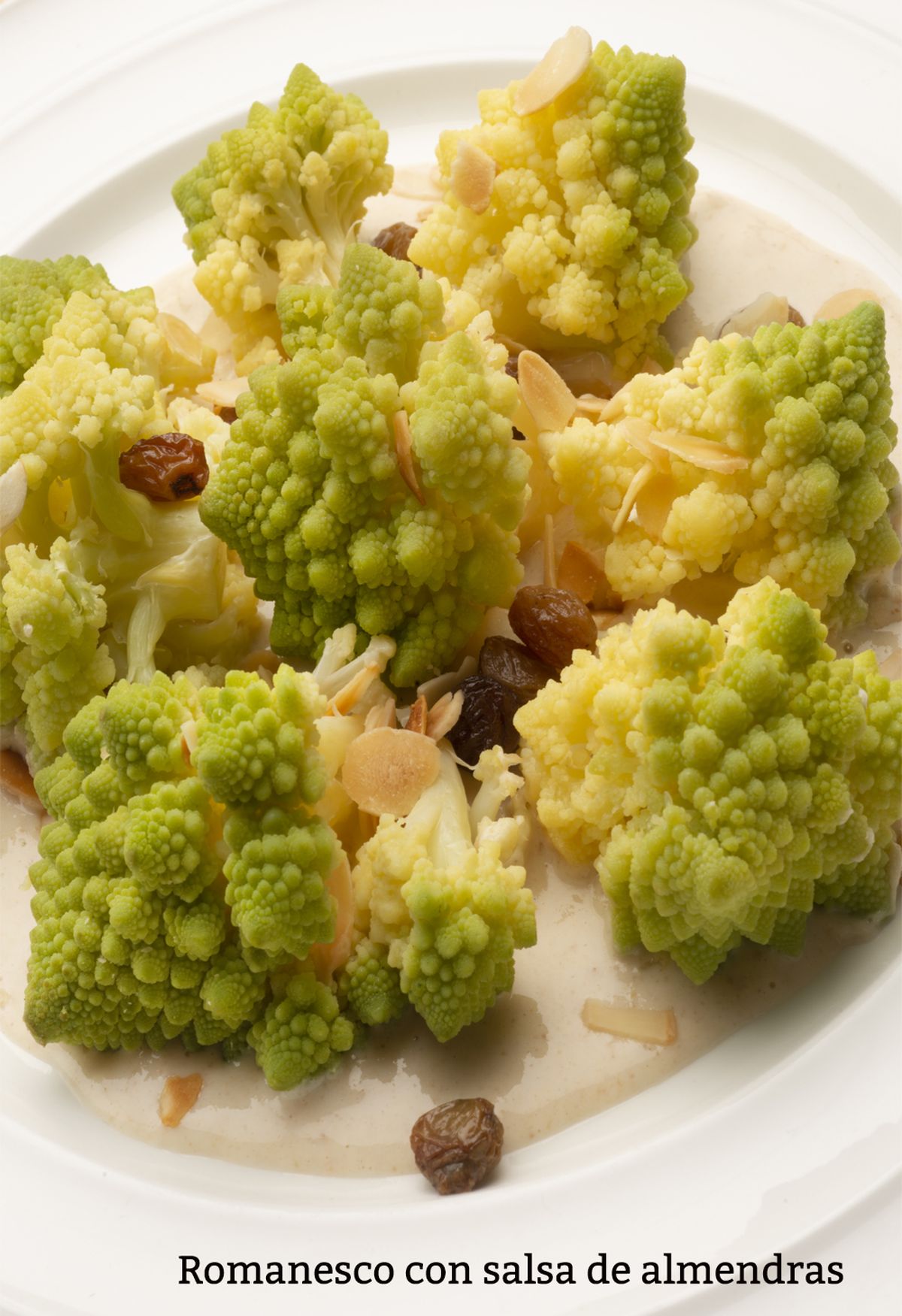 romanesco salsa vertical