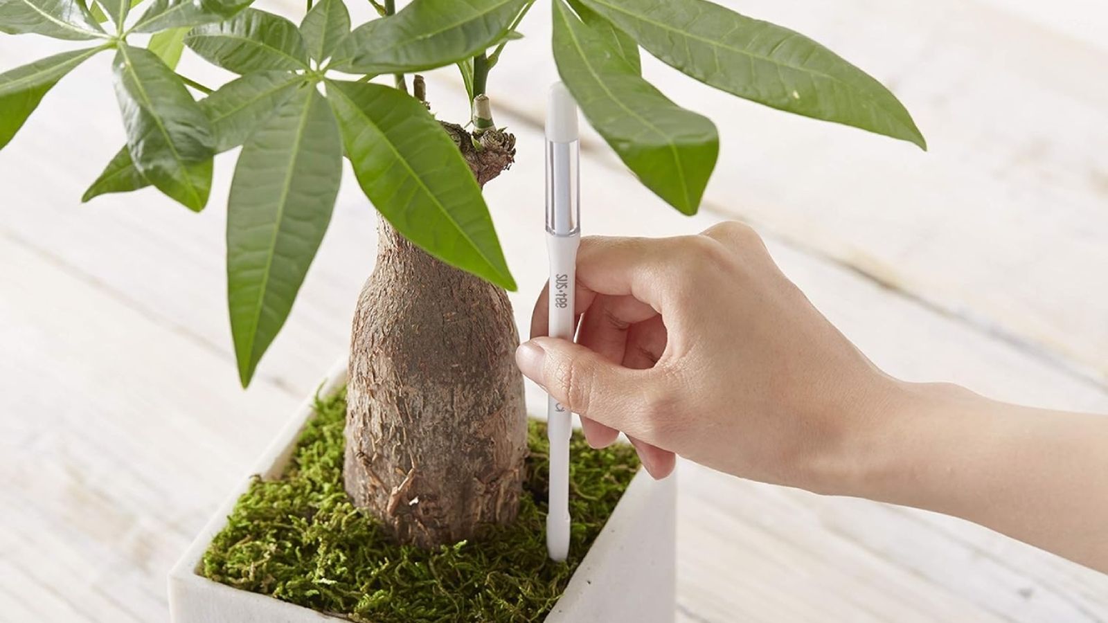 Avisadores de riego.