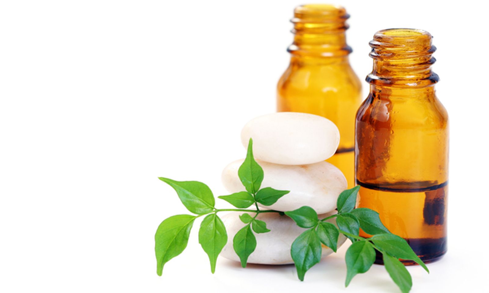 Hacer aceite esencial de pachuli