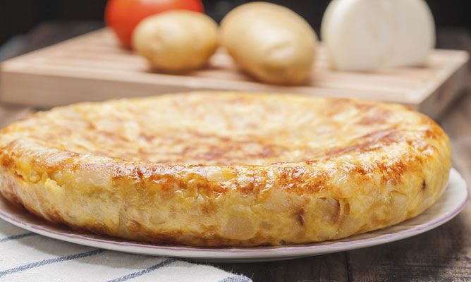 5560 ainhoa nutricion tortilla xl