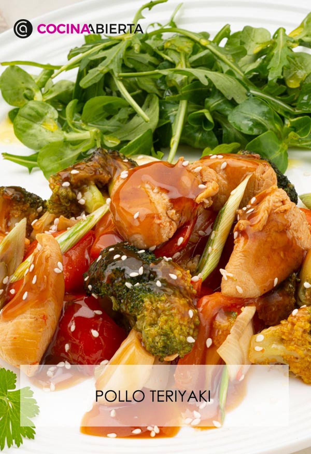 karl6687 pollo teriyaki v