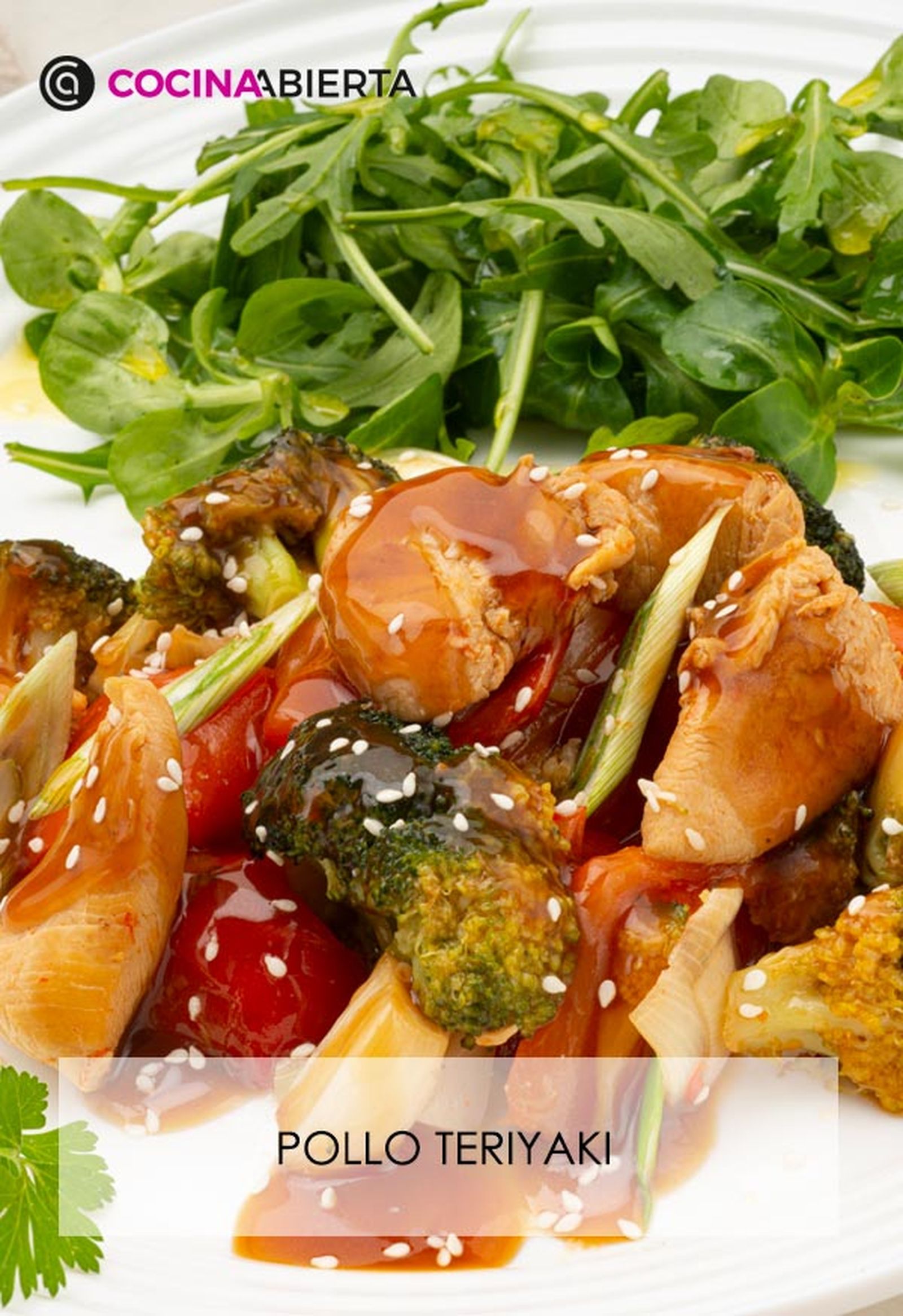 karl6687 pollo teriyaki v