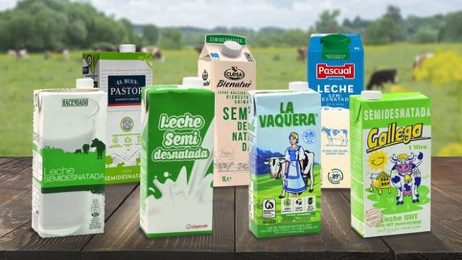 mejores leches semidesnatadas ocu