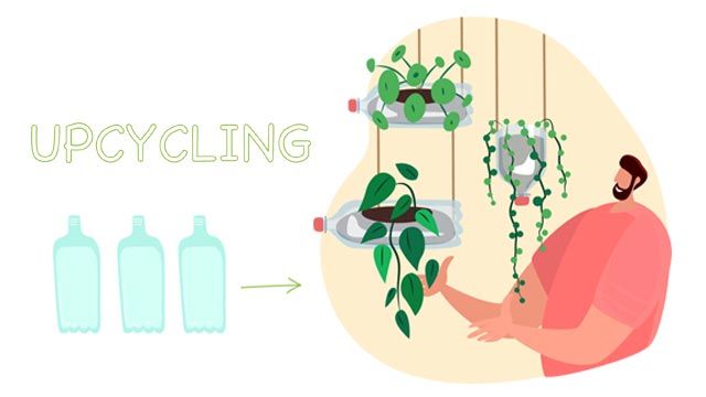 que es el upcycling usos en la jardineria