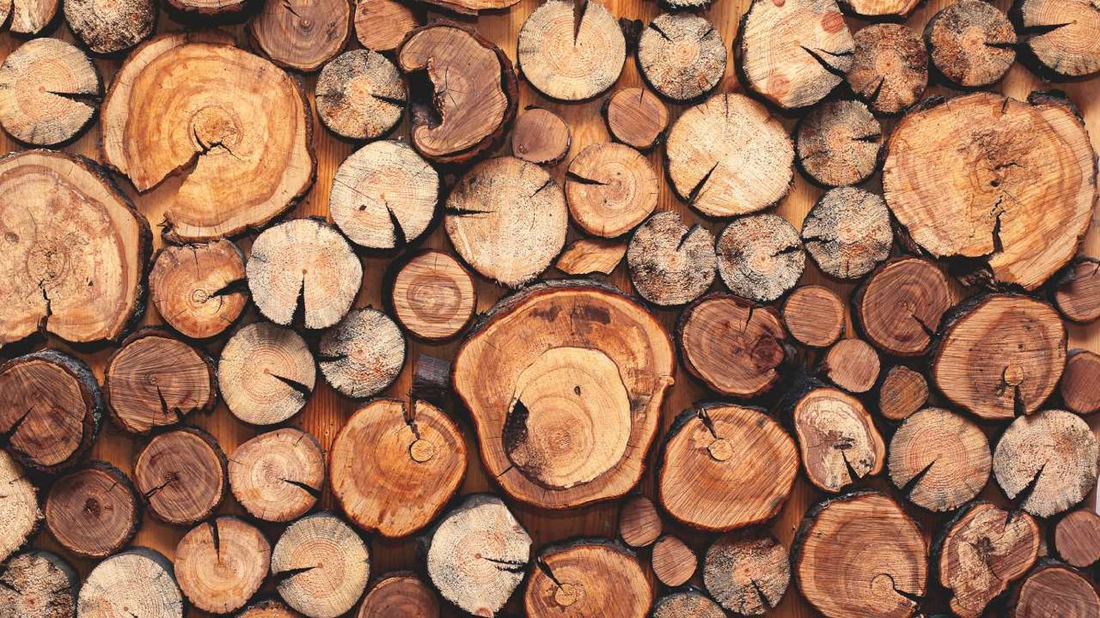 derivados de la madera xl