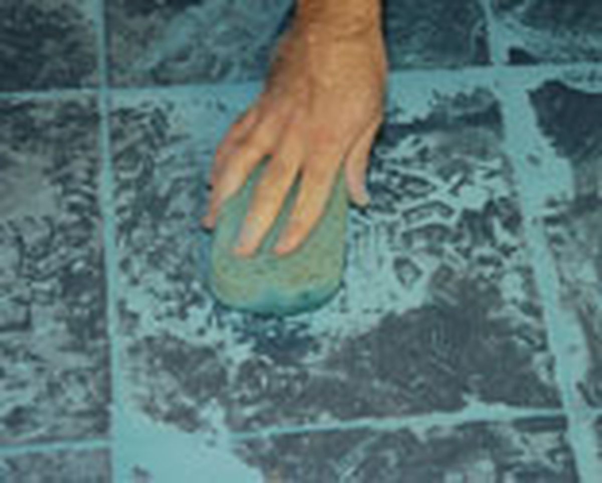 288 alic suel bano p6