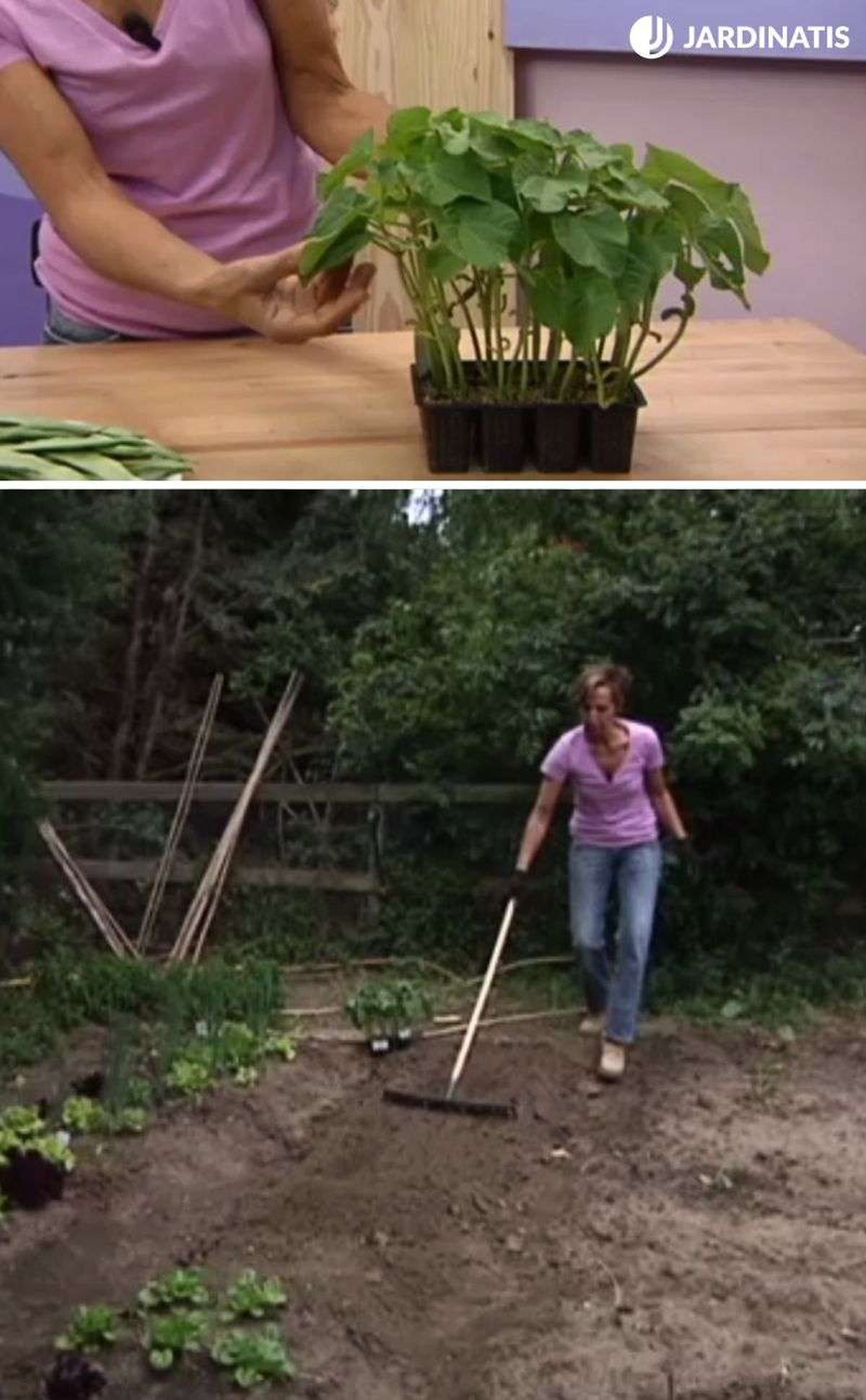 Preparación del terreno