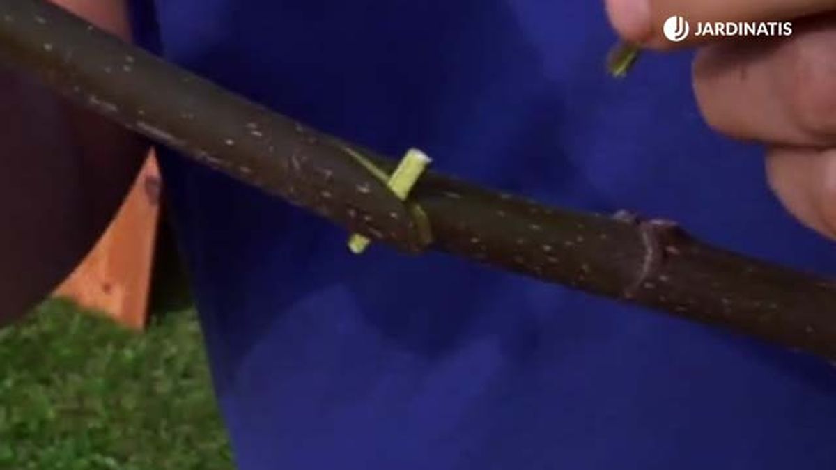 ramita para acodo aereo brico 750