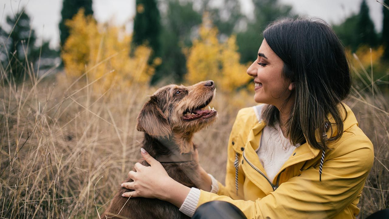 beneficios alimentacion natural perros 2