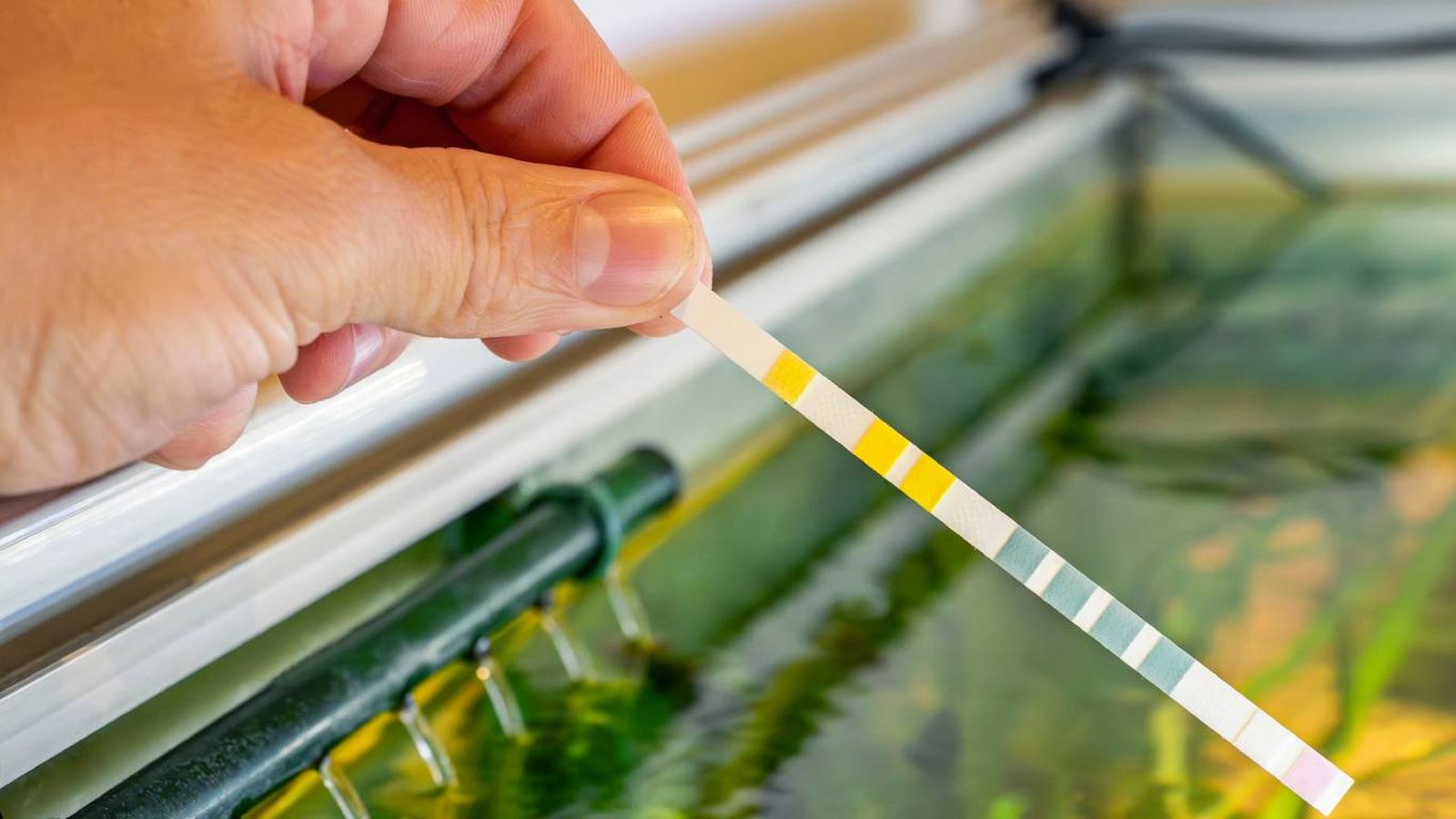 El pH es una medida que expresa la concentración de iones de hidrógeno (H⁺) en el agua.