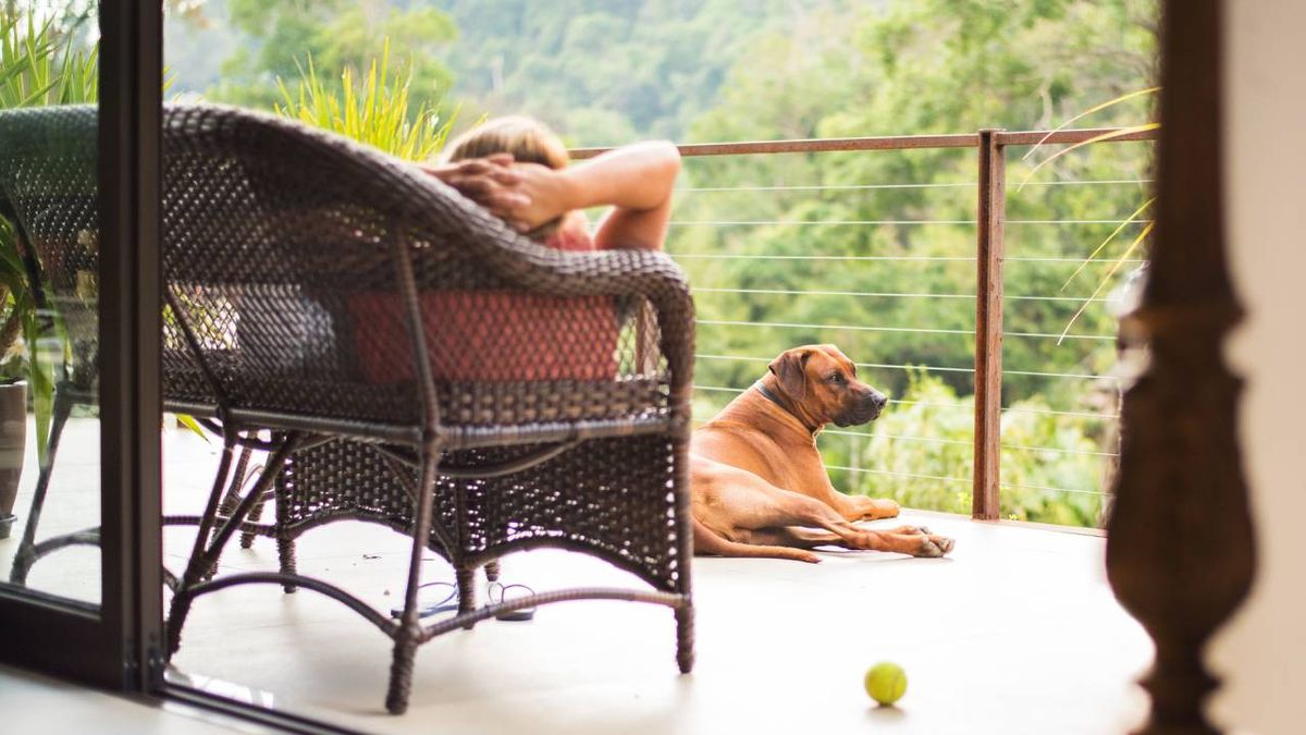 paradores petfriendly admiten mascotas espana