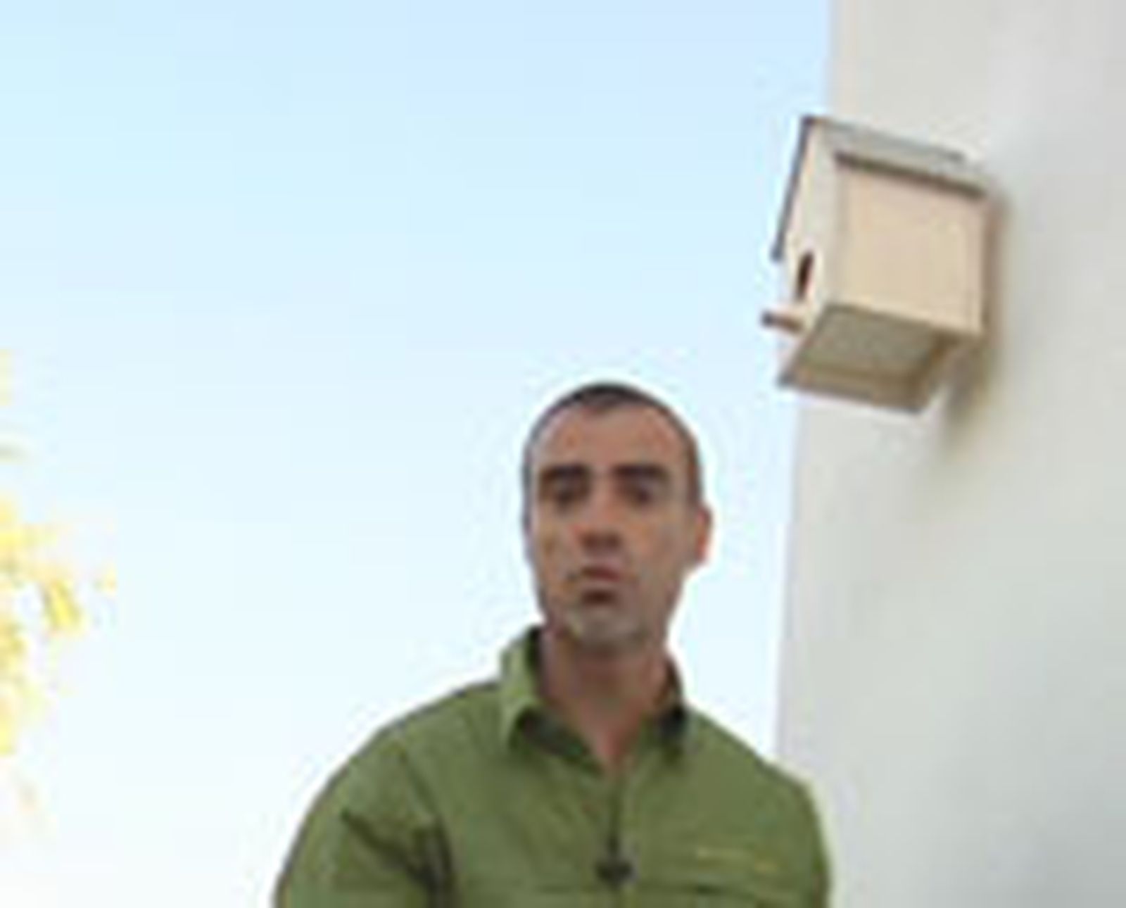 casa pajaro p08