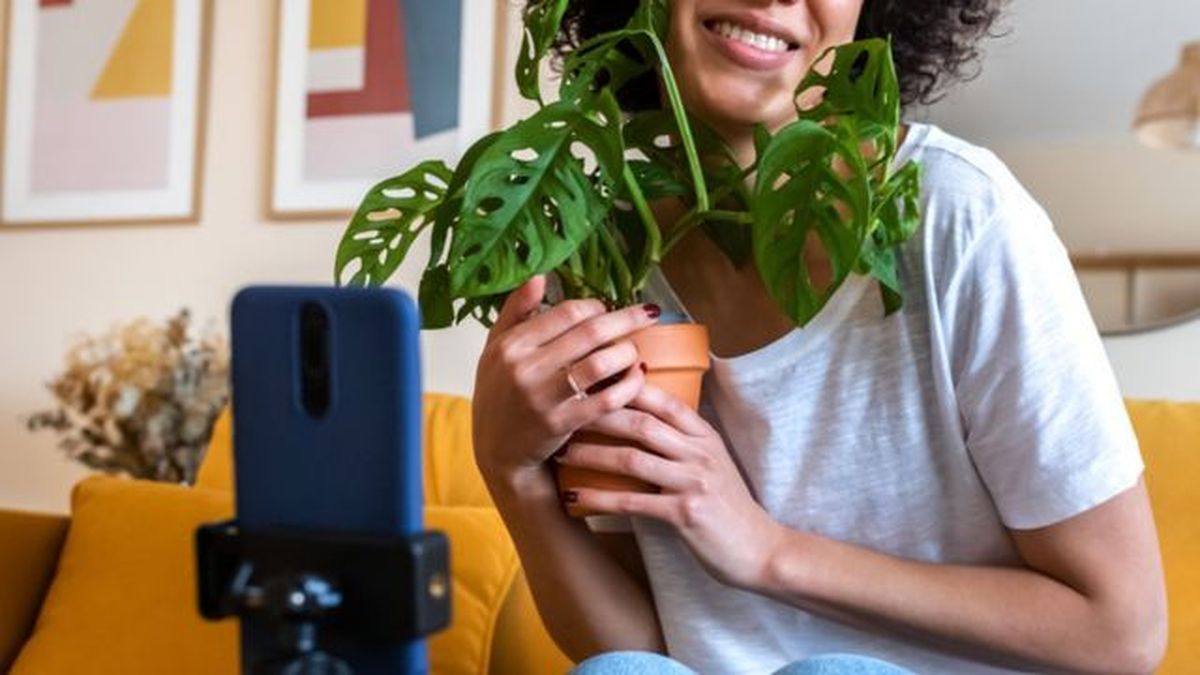 premios trompa verde 2023