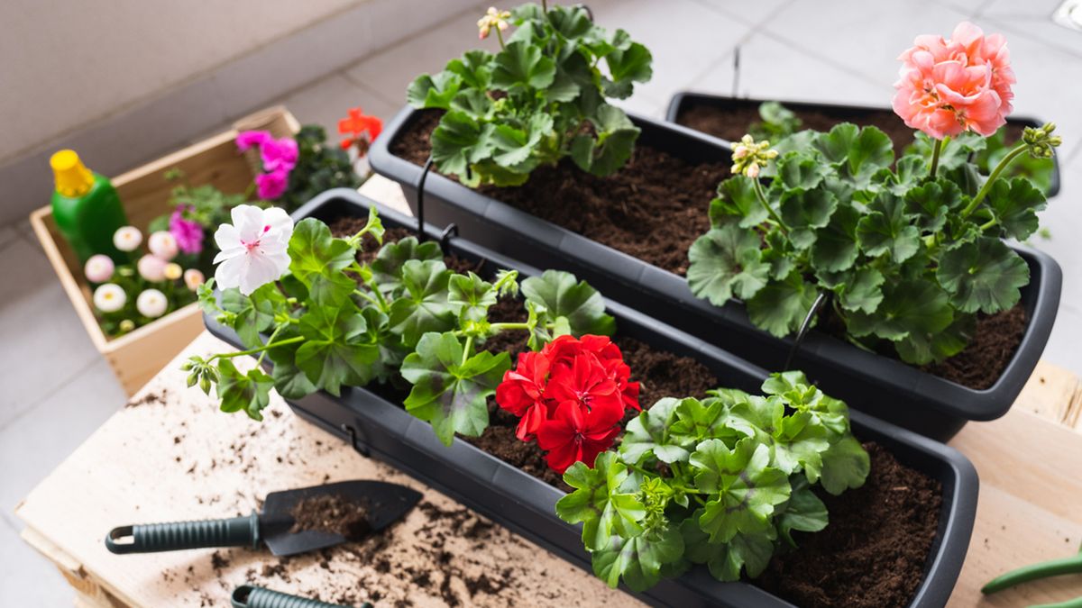 razones para amar la primavera