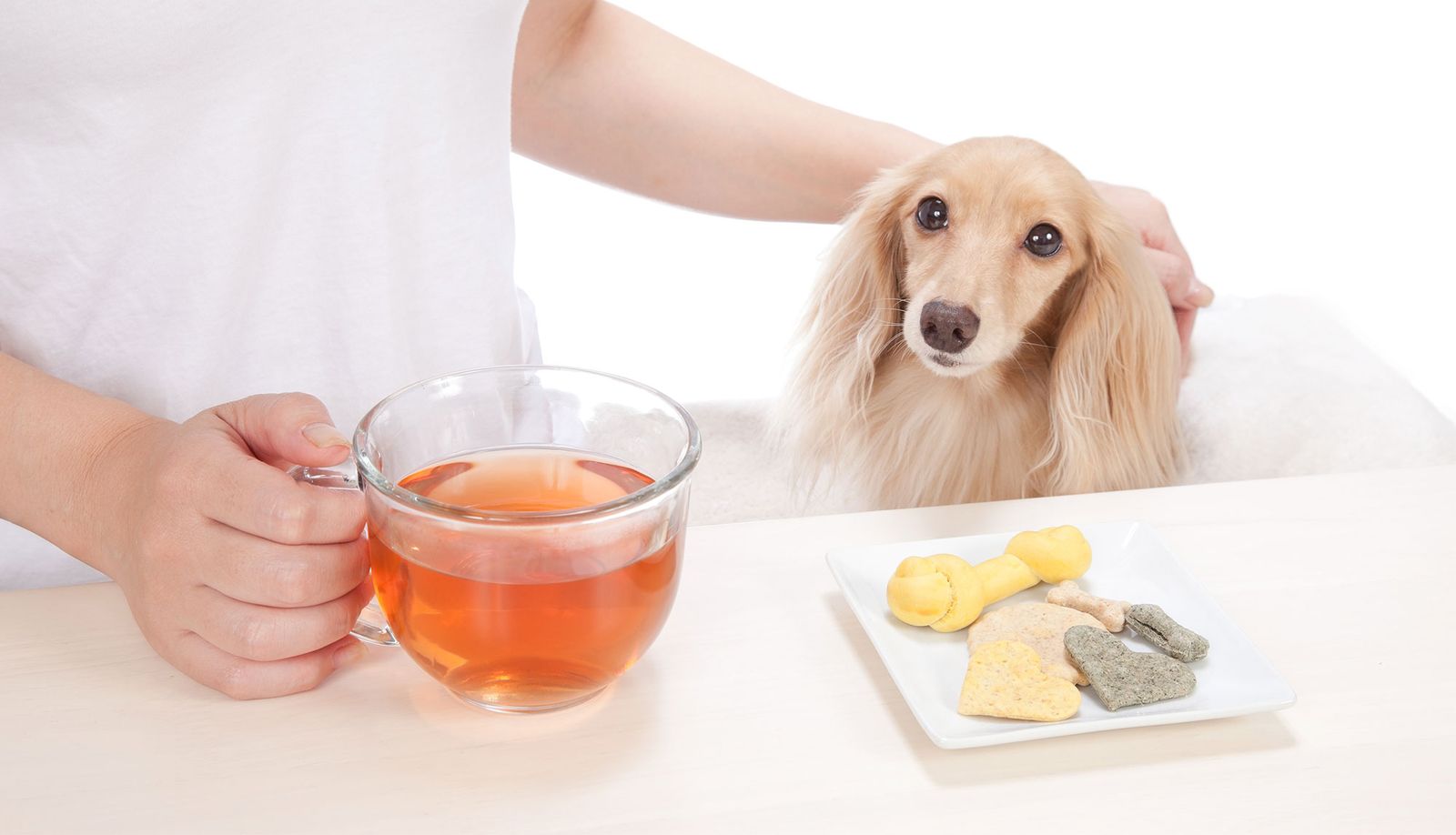 perros alimentacion articulaciones te