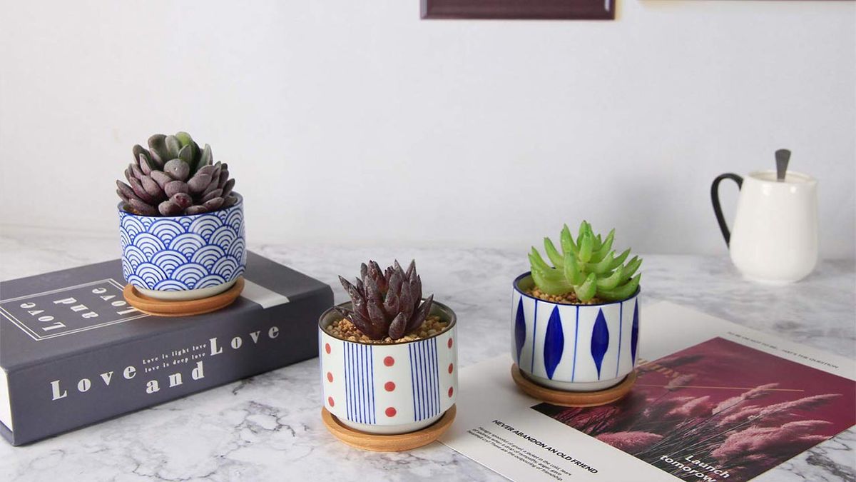 Set de 3 macetas de estilo japonés de TIST