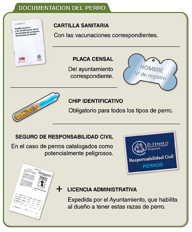 documentacion perro