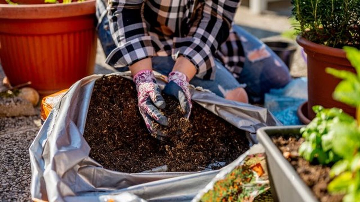 diferencia entre sustrato y mantillo