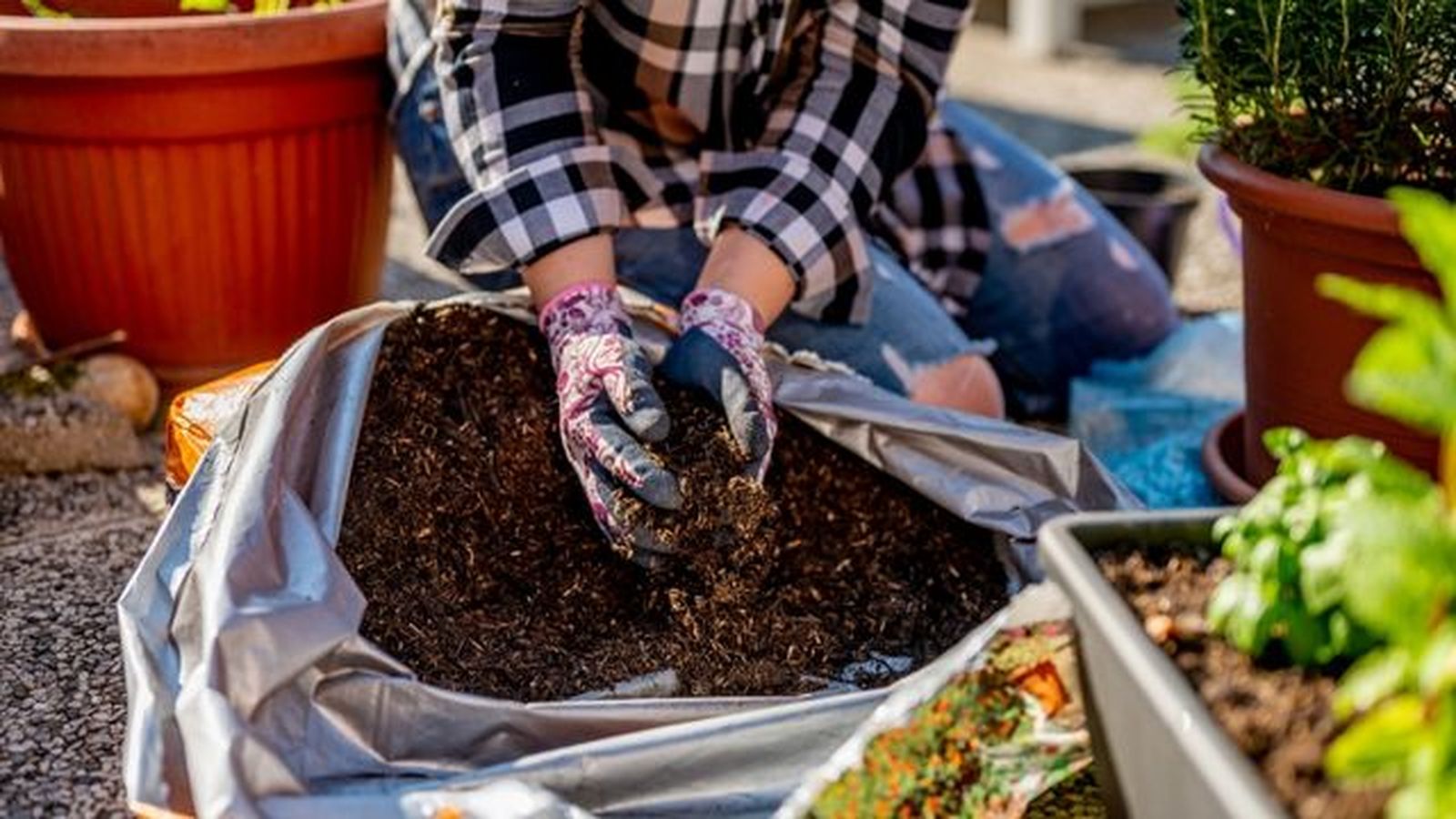 diferencia entre sustrato y mantillo