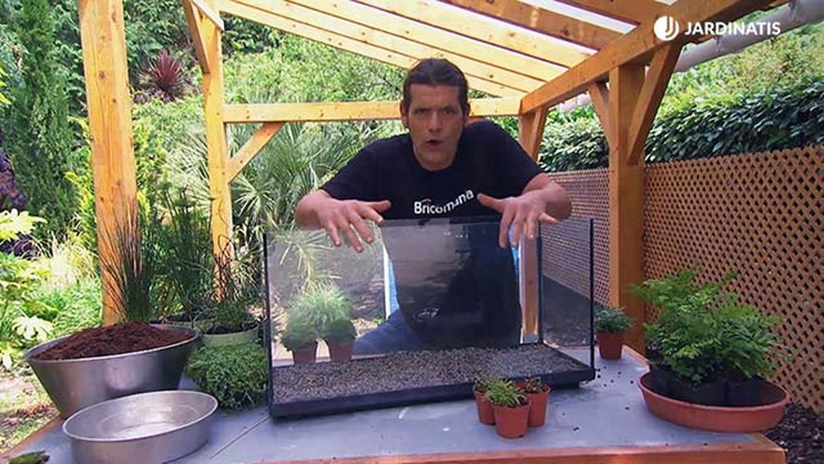 brico 881 3 humedal pecera inicio