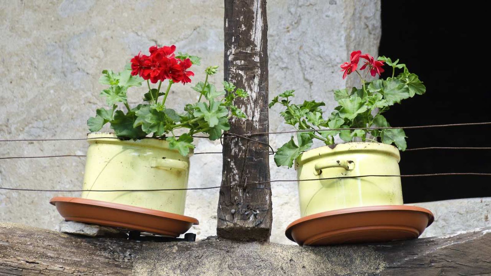 ideas para reutilizar ollas viejas