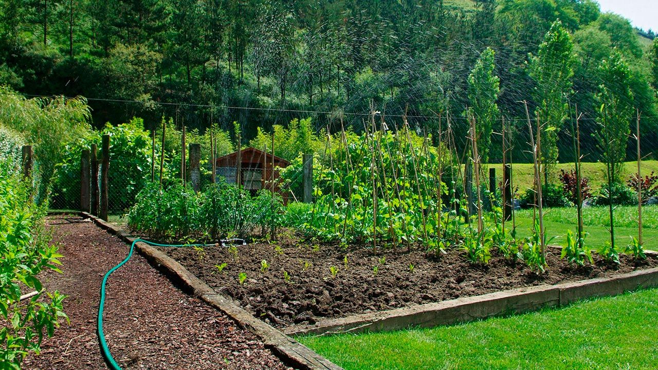 Aspersores para regar el jardín paso 4