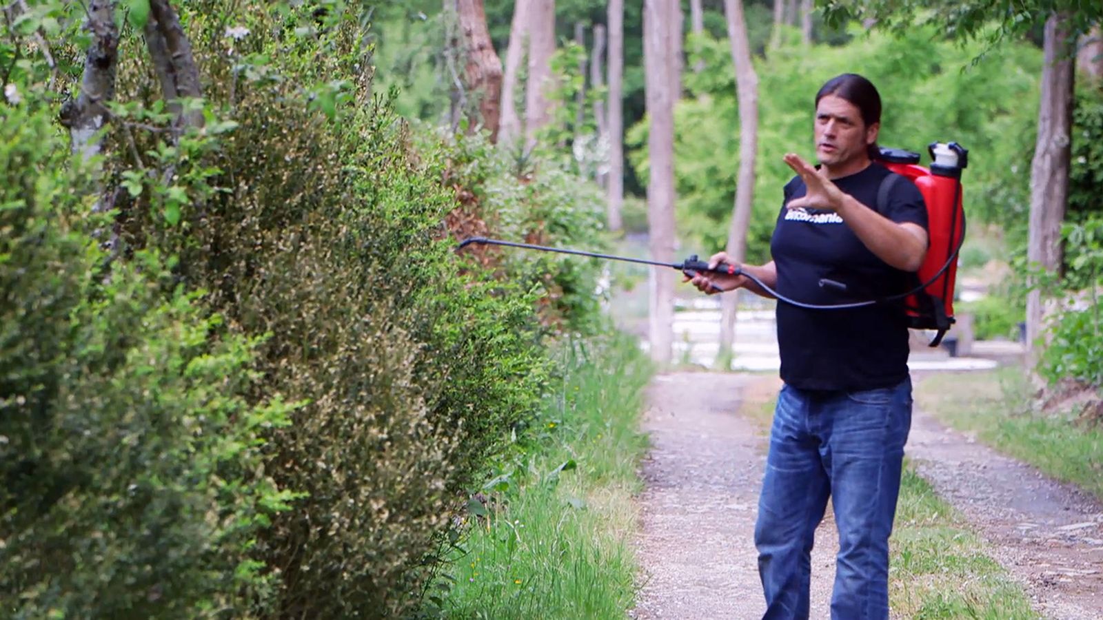 brico 0914 3 oruga boj xl