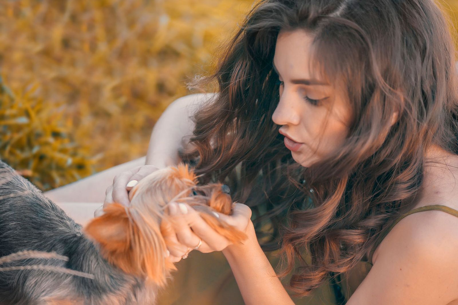 sindrome perro pequeño reganar premiar