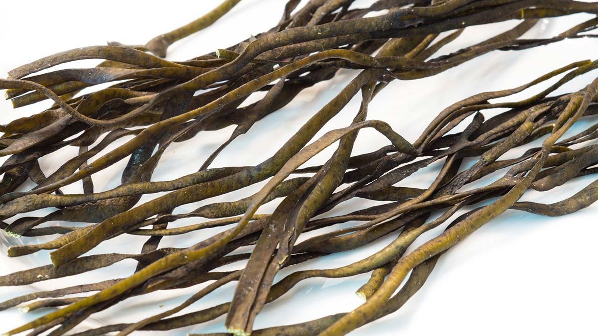 recetas algas espaguetis