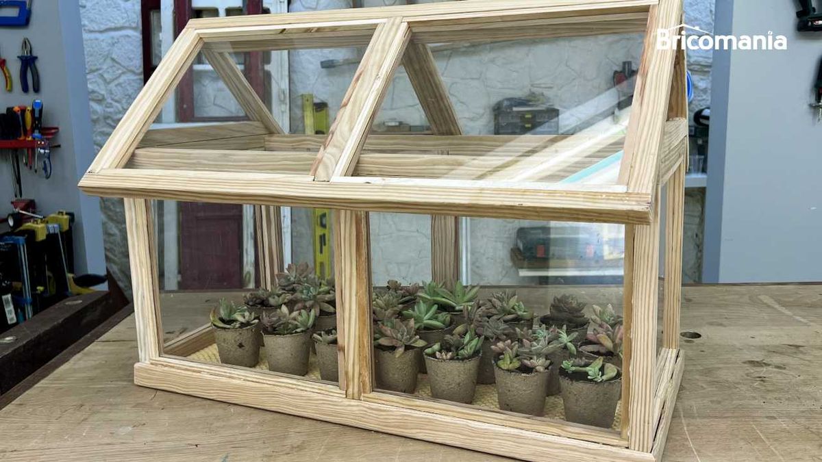 bricomania 72 mini invernadero casero xl