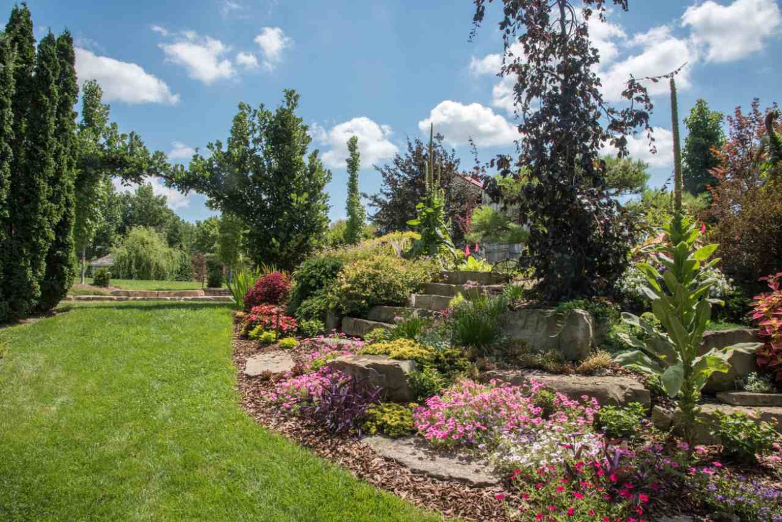 Este 2025 nos espera una conexión aún mayor con nuestros jardines.