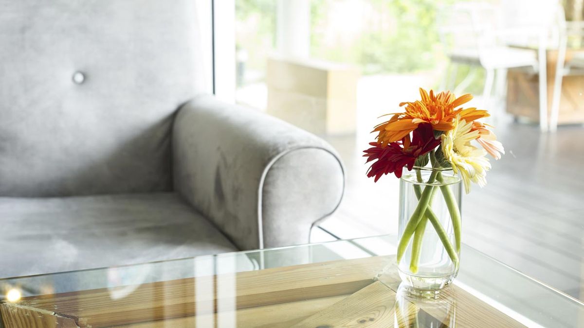 como quitar los rayones del cristal 1