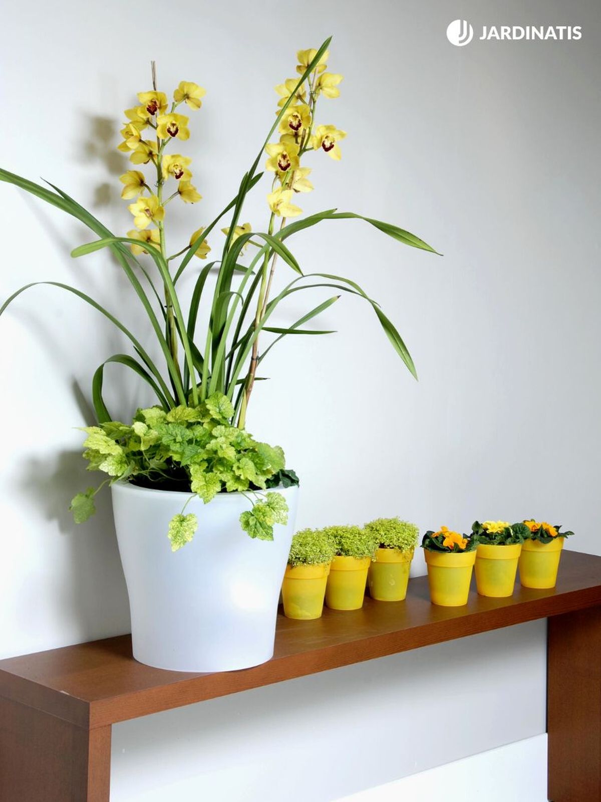 deko 0225 cimbidio amarillo composicion 01