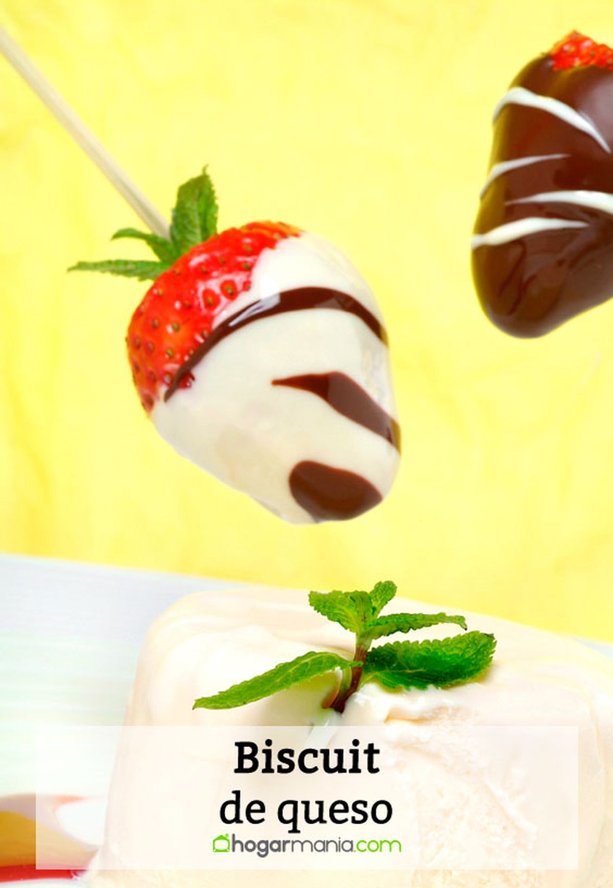 biscuit de queso pin