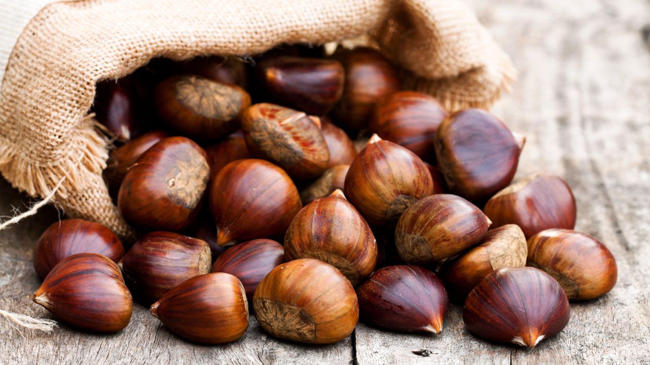 recetas castanas