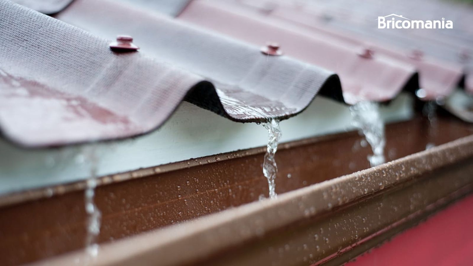 brico 0659 sistema de riego con agua de lluvia xl