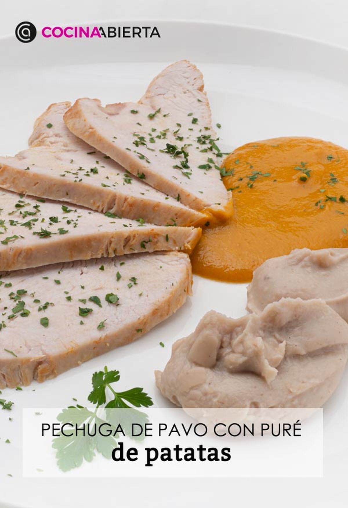 karl6650 pechuga pavo v