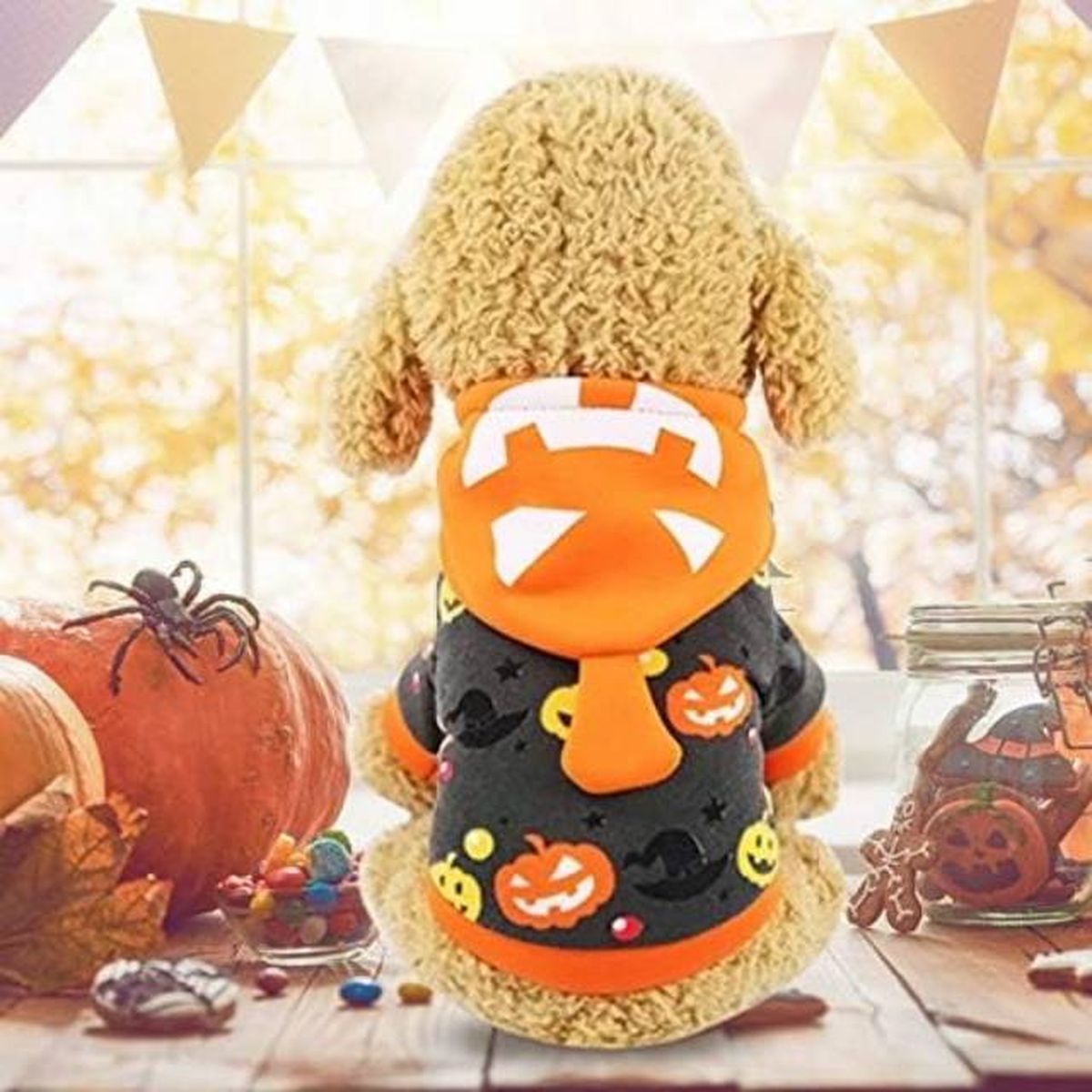 ropa comoda halloween perros sudadera con capucha y calabazas